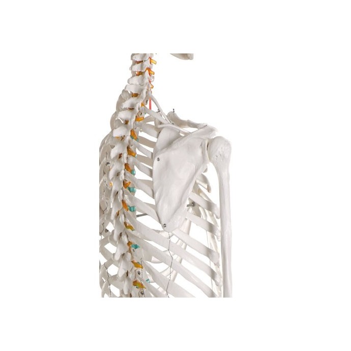 Medizin Teknik