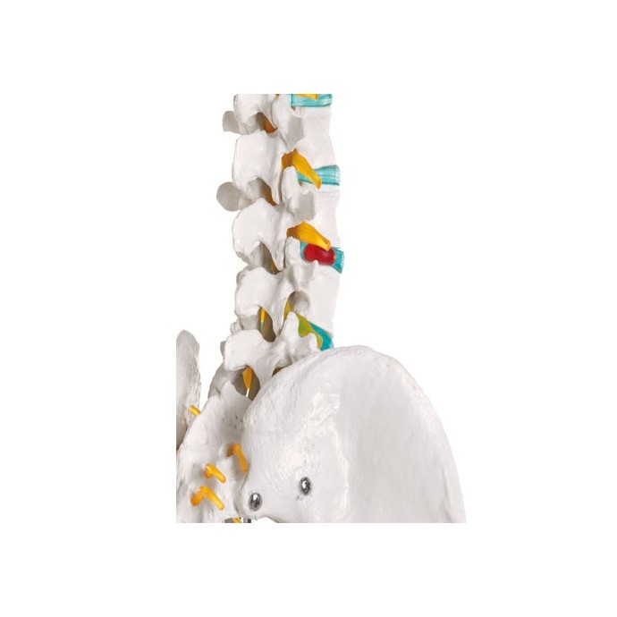Medizin Teknik