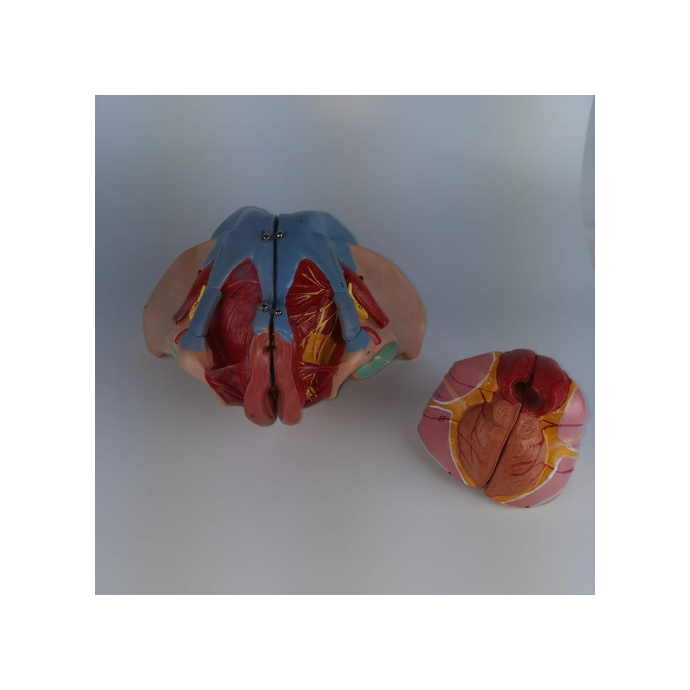 Medizin Teknik