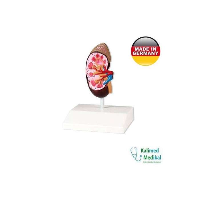 Medizin Teknik
