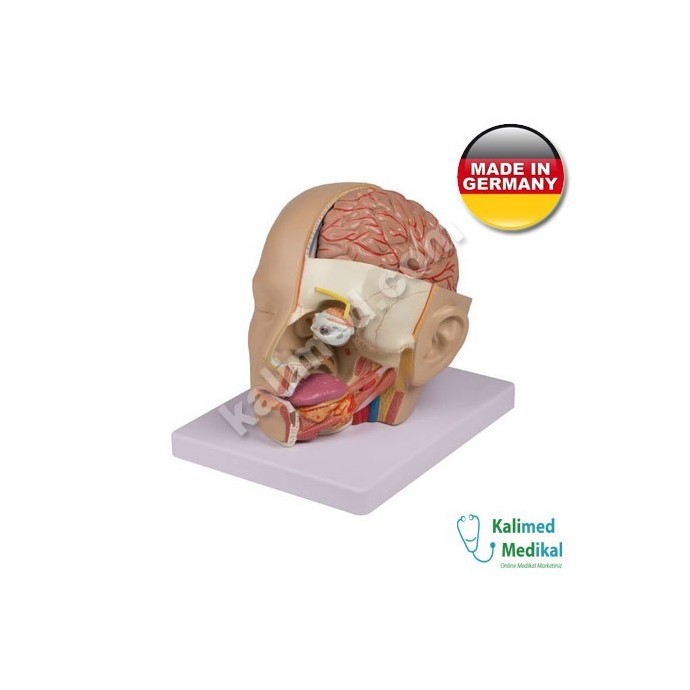 Medizin Teknik