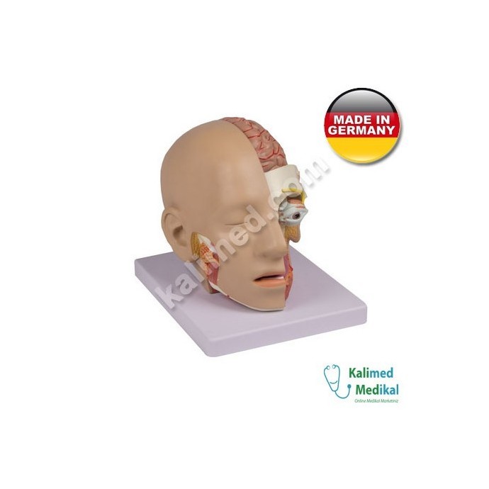 Medizin Teknik