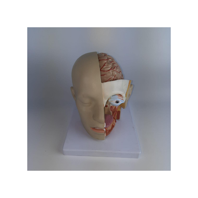 Medizin Teknik