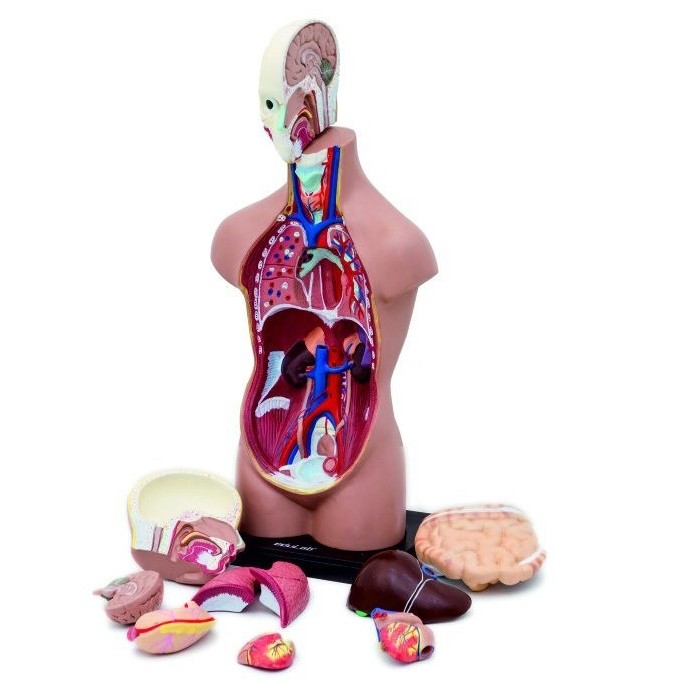 Medizin Teknik