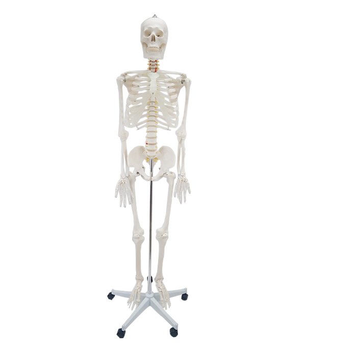 Medizin Teknik