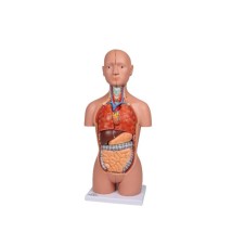 B223 MİNYATÜR TORSO 16 PARÇA